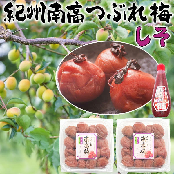 つぶれ梅　しそ　500g×2パック(合計1kg) 塩分約10% +紀州南高梅　練り梅1本(しそ漬...