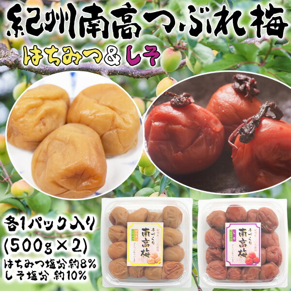 つぶれ梅　はちみつ　しそ　各1パック500g(合計2P/1kg) 塩分約8-10% 紀州南高梅　和歌山県産　つぶれうめ はちみつ漬け　シソ漬け　送料無料