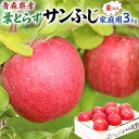 青森りんご 葉とらずサンふじ 家庭用 3kg 林檎【青森県産】予約品:12月上旬前後~出荷開始【出荷日お任せ・指定日不可】リンゴ フルーツ りんご農園直送送料無料