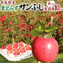 青森りんご 葉とらずサンふじ 家庭用 10kg 林檎【青森県産】予約品:12月上旬前後~出荷開始【出荷日お任せ・指定日不可】リンゴ フルーツ りんご農園直送送料無料