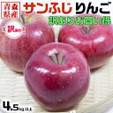 青森県産 サンふじ りんご 4.5kg以上 (約5キロ) 訳あり ご家庭用｜家族 家庭向けお歳暮ギフト お子さんのクリスマス 送料無料 予約 11月上旬頃発送