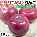 青森県産 サンふじ りんご 12玉入 訳あり・ご家庭用|家族送料無料 数日で出荷可能