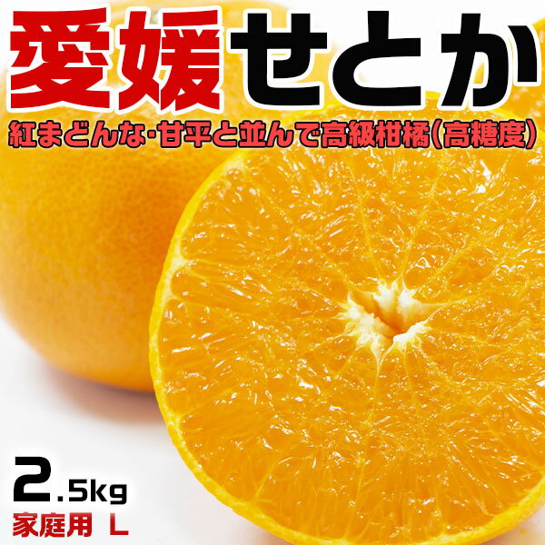 愛媛 せとか みかん 訳あり Lサイズ 2.5kg 家庭用【愛媛県産】柑橘の大トロ 手土産・お供え・ご家庭・ギフト・送料無料