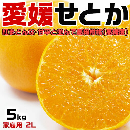 愛媛 せとか みかん 訳あり 2Lサイズ 5kg 家庭用【愛媛県産】柑橘の大トロ 手土産・お供え・ご家庭・ギフト・送料無料 愛媛 せとか みかん 訳あり 2Lサイズ 5kg 家庭用【愛媛県産】柑橘の大トロ 手土産・お供え・ご家庭・ギフト・送料無料
