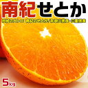 商品情報■商品名：　みかん　南紀　せとか 訳あり みかん 5kg　Lサイズ　家庭用　和歌山県・三重県 手土産・お供え・ご家庭・ギフト・送料無料 ■お届けの目安：　出荷日お任せ｜土日祝除く2～5日後の順次出荷予定 　※収穫状況によって申込締切...