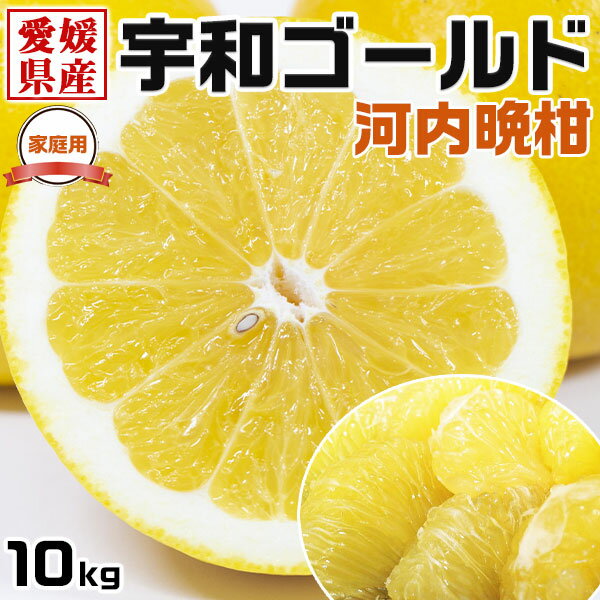 宇和ゴールド みかん 2Lサイズ　約10kg　ご家庭用　愛媛県産　 河内晩柑 美生柑・手土産・お供え・ご家庭へのギフト・送料無料