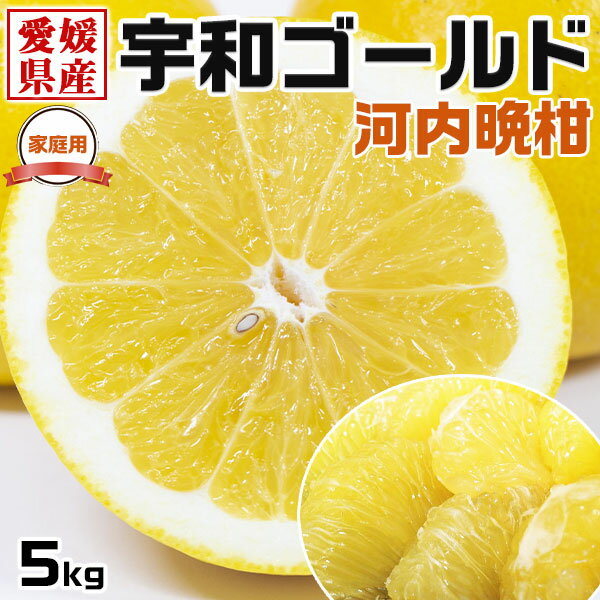 みかん 【最大2000円OFFクーポン】宇和ゴールド みかん 2Lサイズ　約5kg　ご家庭用　愛媛県産　 河内晩柑 美生柑・手土産・お供え・ご家庭へのギフト・送料無料