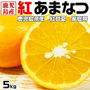【最大2000円OFFクーポン】紅甘夏 みかん 5キロ 家庭用 2Lサイズ 鹿児島県産 紅あまなつ 5kg・果物・柑橘・フルーツ・手土産・お供え・ご家族へのギフト・送料無料(4)