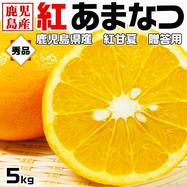 【最大2000円OFFクーポン】紅甘夏 みかん 5キロ 秀品 贈答用 2Lサイズ 鹿児島県産 紅あまなつ 5kg・果物・柑橘・フルーツ・手土産・お供え・贈答用のギフト・送料無料