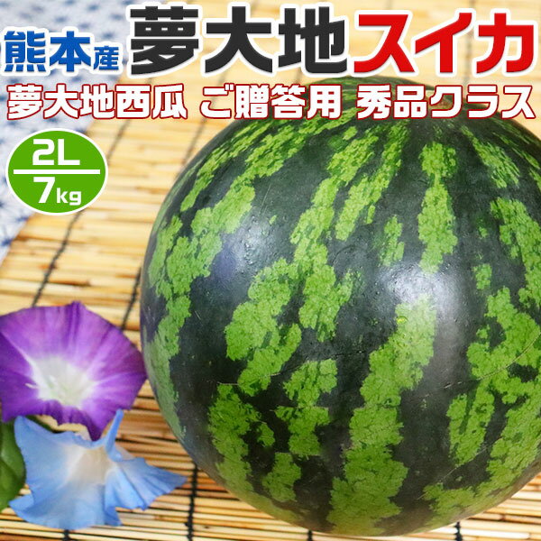 【最大2000円OFFクーポン】熊本産　夢大地　すいか 秀品　2Lサイズ　7kg　1玉入 スイカ 熊本県産西瓜　贈答用　母の日　父の日　プレゼント　フルーツ　果物　お中元・ギフト・すいかギフト・ 西瓜 送料無料