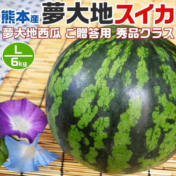 【最大2000円OFFクーポン】熊本産　夢大地　すいか 秀品　Lサイズ　6kg　1玉入 スイカ 熊本県産西瓜　贈答用　母の日　父の日　プレゼント　フルーツ　果物　お中元・ギフト・すいかギフト・ 西瓜 送料無料 1