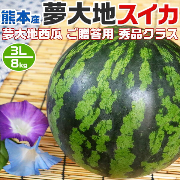 熊本産　夢大地　すいか 秀品　3Lサイズ　8kg　1玉入 スイカ 熊本県産西瓜　贈答用　母の日　父の日　プレゼント　フルーツ　果物　お中元・ギフト・すいかギフト・ 西瓜 送料無料