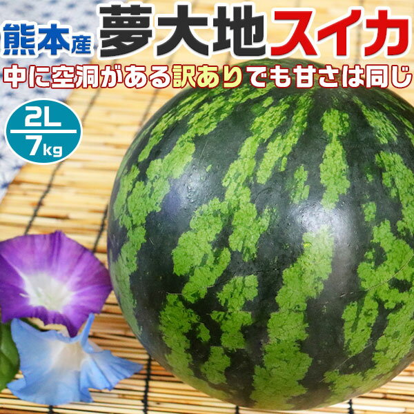 熊本産　夢大地　すいか 訳あり　2Lサイズ　7kg　1玉入 スイカ 熊本県産西瓜　母の日　父の日　プレゼント　フルーツ　果物　お中元・ギフト・すいかギフト・ 西瓜 送料無料