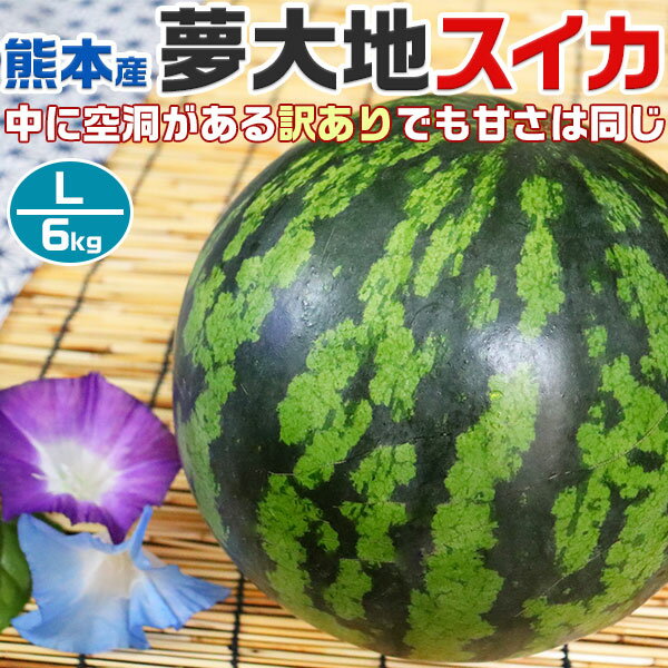 熊本産　夢大地　すいか 訳あり　Lサイズ　6kg　1玉入 スイカ 熊本県産西瓜　母の日　父の日　プレゼント　フルーツ　果物　お中元・ギフト・すいかギフト・ 西瓜 送料無料