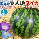 【予約】熊本産 夢大地 すいか 訳あり Lサイズ 6kg 1玉入 スイカ 熊本県産西瓜 母の日 父の日 プレゼント フルーツ 果物 お中元・ギフト・すいかギフト...