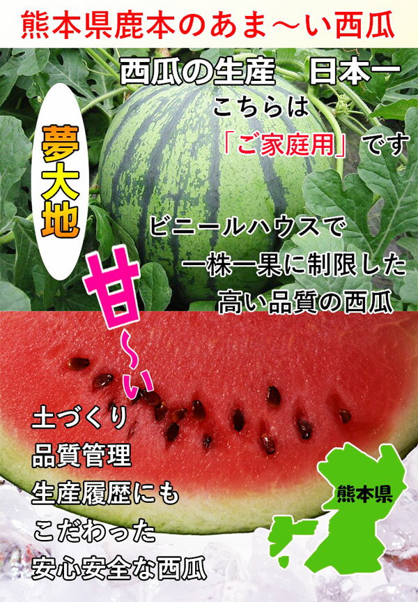 熊本産　夢大地　すいか 訳あり　2Lサイズ　7kg　1玉入 スイカ 熊本県産西瓜　母の日　父の日　プレゼント　フルーツ　果物　お中元・ギフト・すいかギフト・ 西瓜 送料無料 2