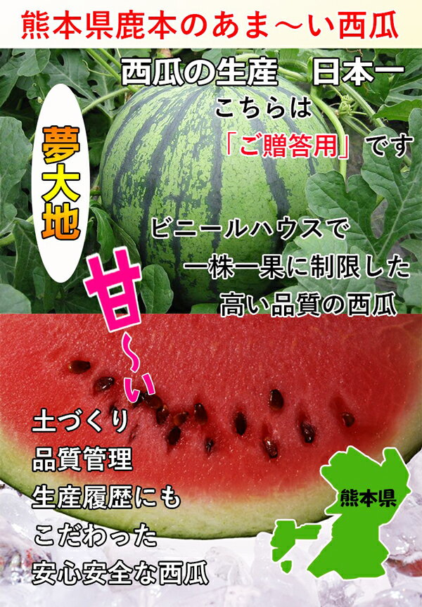 【最大2000円OFFクーポン】熊本産　夢大地　すいか 秀品　Lサイズ　6kg　1玉入 スイカ 熊本県産西瓜　贈答用　母の日　父の日　プレゼント　フルーツ　果物　お中元・ギフト・すいかギフト・ 西瓜 送料無料 2