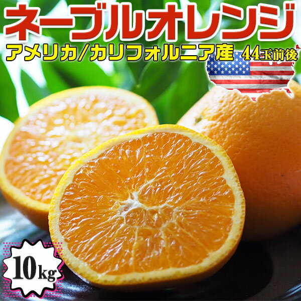 【最大2000円OFFクーポン】高糖度 ネーブルオレンジ 10kg 44玉前後 園地指定 糖度保証【アメリカ カリフォルニア州産】Sunkist Navel Orange/From California U.S.A. お中元 父の日 贈物 プレゼント ネイブルオレンジ フルーツ 柑橘 送料無料