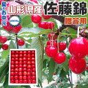 さくらんぼ 佐藤錦 約500g さとうにしき 山形県産 赤い宝石 サクランボ|父の日 フルーツ お中元・お見舞い・お供え・高級果物・贈答用・ギフト・送料無料