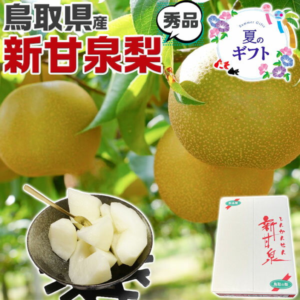 梨 早期　予約品　鳥取県産 梨 新甘泉梨 秀品 5kg 10～16玉入 糖度14度前後 贈答用【しんかんせん鳥取県産ナシ】遅れてごめんね敬老の日・ギフト・送料無料　常温便