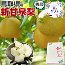 早期 予約品【クール便指定】鳥取県産 梨 新甘泉梨 秀品 5kg 12〜16玉入 糖度14度前後 贈答用【しんかんせん鳥取県産ナシ】遅れてごめんね敬老の日・ギフ...