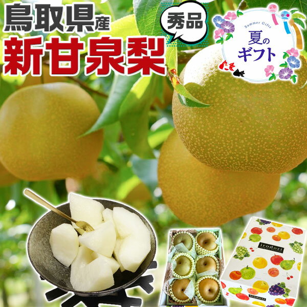 早期　予約品【クール便指定】鳥取県産 梨 新甘泉梨 秀品 化粧箱　8玉入 糖度14度前後 贈答用【しんか..