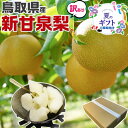 早期　予約品　リアルタイムランキング1位！鳥取県産 梨 訳あり 新甘泉梨 約5kg（6～20玉）糖度14度前後 ご家庭用【しんかんせん鳥取県..