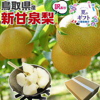 早期　予約品　リアルタイムランキング1位！鳥取県産 梨 訳あり 新甘泉梨 約5kg（6...