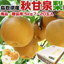 【クール便指定】鳥取県産 梨 秋甘泉梨 秀品 贈答用 5kg 7〜20玉入 糖度13度前後 【あきかんせん鳥取県産ナシ】遅れてごめんね敬老の日・ギフト・送料無料...