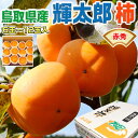 柿 かき 鳥取県産 輝太郎 柿 赤秀 6玉~12玉入 贈答用 きたろう柿 輝太郎柿 秋の果物 フルーツ ギフト 送料無料
