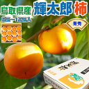 柿 かき 鳥取県産 輝太郎 柿 青秀 6玉~12玉入 ご家庭用 きたろう柿 お試し 輝太郎柿 秋の果物 フルーツ 家庭用ギフト 送料無料