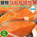 銀鮭 さけ 甘塩 ギフト 送料無料 合計1kg チリ産 銀鮭 100g 10切れ セット 鮭 銀鮭 銀サケ さけ しゃけ 海産物| ご家庭向け 送料無料