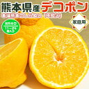熊本 不知火 みかん デコポン ご家庭用(訳あり) 5kg 11〜24個入 光センサー識別合格品|本場【熊本県産】高級フルーツ 贈物 ギフト 土産・お供え・ご家...
