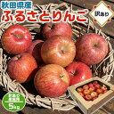 秋田県産 ふるさと・ サンふじ りんご 約5kg |りんご 訳あり 5キロ サンふじ 家族・家庭向け 秋田ふるさと 林檎 お買得 お得品 アウトレット 送料無...