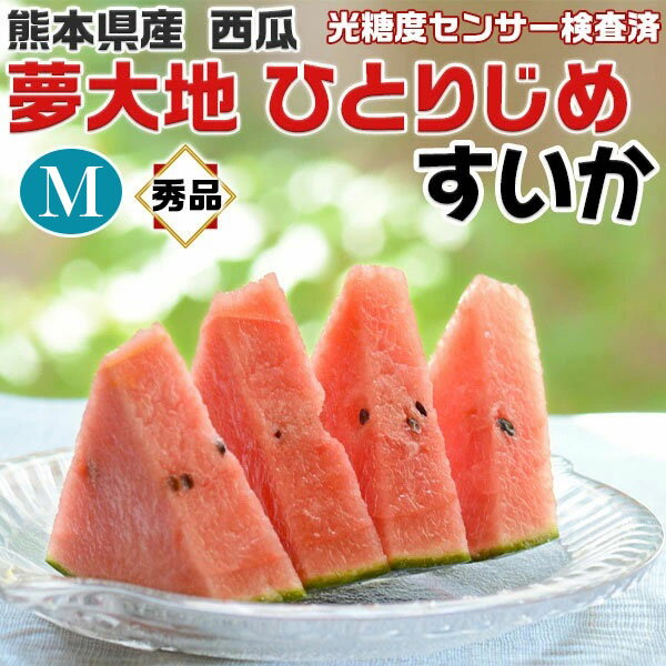 熊本産 すいか 秀品 Mサイズ 1玉 1kg 小玉 夢大地 ひとりじめ 熊本県産西瓜　母の日　父の日　プレゼント　フルーツ　果物　お中元・ギフト・すいかギフト・ 小玉西瓜 送料無料