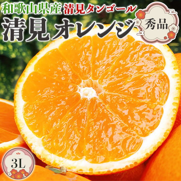 清見 オレンジ 清見 みかん 秀品 3Lサイズ 4.5kg 和歌山県産 清見タンゴール 柑橘 果物 フルーツ・手土産・お供え・贈答用・ギフト・送料無料