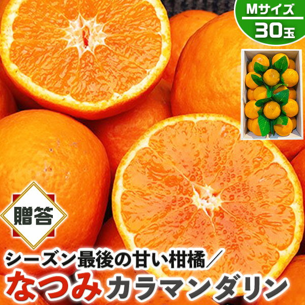 みかん なつみ　みかん　秀品・贈答用　30玉 Mサイズ (カラマンダリンからの交配種)【愛媛県産】高糖度 柑橘【シーズン最後の甘い系みかん】果物・フルーツ・家庭用ギフト・プレゼント・送料無料