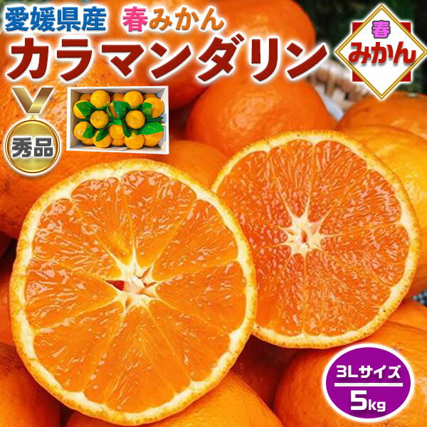 みかん カラマンダリン 秀品 5kg 3Lサイズ 【愛媛県産】高糖度 柑橘 果物・贈答用・母の日・フルーツ・ギフト・プレゼント・送料無料