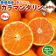 みかん カラマンダリン 訳あり 5kg　Mサイズ 【愛媛県産】高糖度 柑橘　果物・家庭用・母の日・フルーツ・ギフト・プレゼント・送料無料