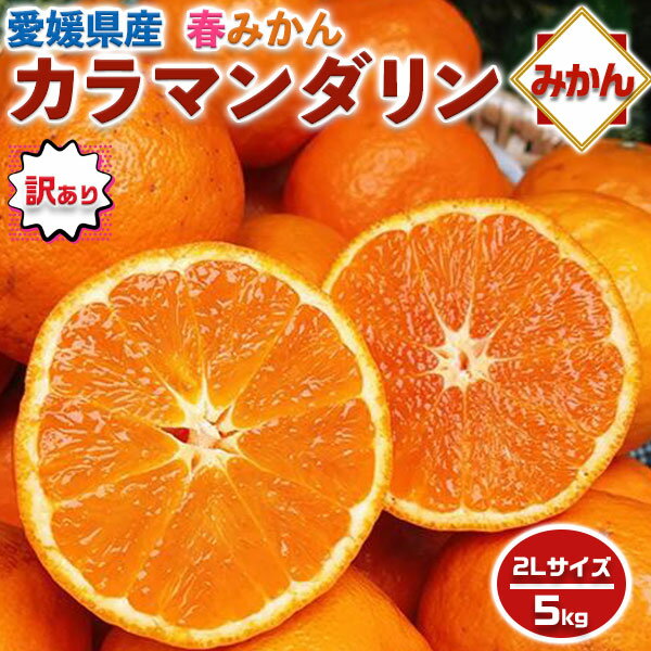 みかん カラマンダリン 訳あり 5kg　2Lサイズ 【愛媛県産】高糖度 柑橘　果物・家庭用・母の日・フルーツ・ギフト・プレゼント・送料無料 1