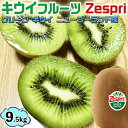 キウイフルーツ ゼスプリ グリーン キウィ キウイ　約9.5kg　大箱　85-104玉入　ゼスプリ　Zespri Kiwi Fruit ニュージーランド産　家庭用ギフト・お中元・kiwi KIWI・家庭用　送料無料