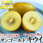 キウイフルーツ　約6kg　サンゴールド 大箱37-59玉入【クール便指定】Zespri Kiwi Fruit ニュージーランド産　秋のギフト・お歳暮・クリスマスギフト・送料無料