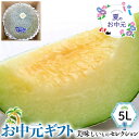 ペルルメロン(肥後グリーンメロン)5Lサイズ 化粧箱 1玉入 マスクメロン ネットメロン ペルル 鳥取県産 ギフト 贈物 フルーツ 夏ギフト お中元 送料無料