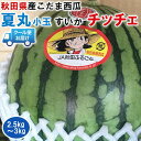 【クール便指定】あきた夏丸 すいか 小玉 西瓜 チッチェ スイカ 2.5kg〜3Kg 1玉【秋田県産 西瓜 JA秋田ふるさ】冷蔵庫に入る大きさ こだま西瓜 小さなギフト ちっちゃいスイカ 東北特産品 お中元・スイカギフト・送料無料(4)