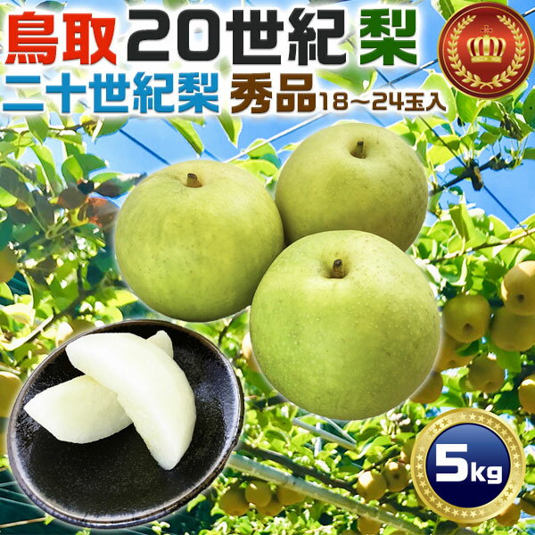 鳥取 梨　20世紀梨 秀品 5kg 18〜24玉入 鳥取県産 二十世紀 梨　家庭向けギフト・遅めのお中元【9月上旬以降・出荷日お任せ】果物　フルーツ　送料無料　常温便のサムネイル