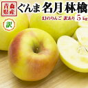青森 りんご 5kg 訳あり ぐんま 名月 家庭用(傷あり)【青森県産】ぐんまめいげつリンゴ・お歳暮林檎送料無料