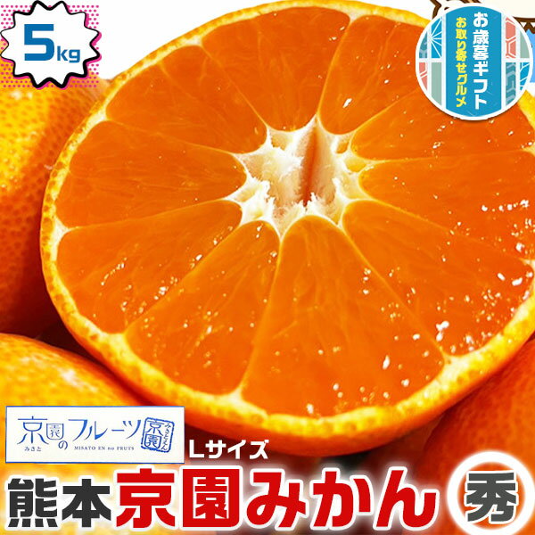 みかん 5kg箱 秀品 特濃完熟 京園みかん Lサイズ 熊本県産 みかん お試し 柑橘　秀品フルーツ　お歳暮・お正月・クリスマスギフト・送料無料(4)