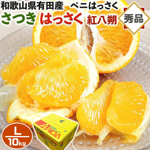 さつき はっさく 紅八朔 みかん 10kg 秀品 Lサイズ【和歌山県有田産】べにはっさく 手土産・ホワイトデー・お供え・イベント・プレゼント・ギフト・送料無料 予約【4月中旬頃】