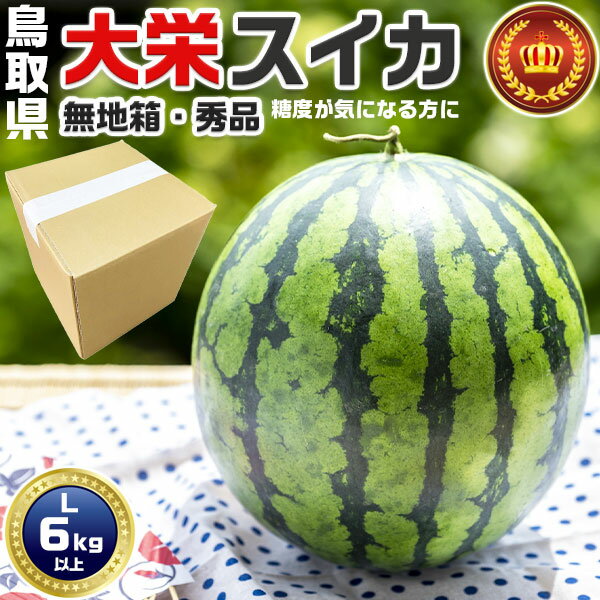 鳥取県産 大栄すいか 秀品 大栄西瓜 贈答用 Lサイズ 6kg 以上 無地段ボール箱入り【鳥取県産西瓜】お中元・家庭用・スイカ ギフト・送料無料