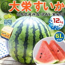 鳥取県産 大栄すいか 超特大 大栄西瓜 6Lサイズ 12kg以上 訳あり・家庭用(贈答用と同じ糖度) 段ボール箱入り【鳥取県産西瓜】お中元・家庭用・すいかギフト・送料無料